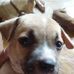 James Cozy - Facebook