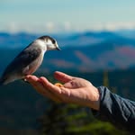 James Jay Krall - @jjkrall_photos - Instagram