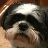 James Krall - @james.krall - TikTok