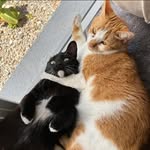 James Kramer - @jkramer4488 - Instagram