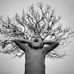 James Kremer - Facebook