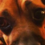 James Kremer - @code_name_jim - Instagram