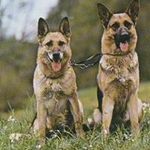 @james.krieg.hetf - Instagram