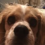James Kriz - @jckriz - Instagram