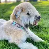 James krol - @james.krol6 - TikTok