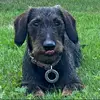 James Krol - @james.krol66 - TikTok