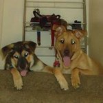 James Kross - @krossjames - Instagram