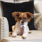 James A. Kunkle - @jameskunkle - Instagram