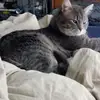 jameskurth6696 - @jameskurth723 - TikTok