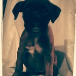 jessie james labit - @jdog_197 - Instagram