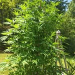 James labounty - @james685320 - Instagram