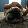 James LaBounty - @jameslabounty - TikTok