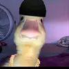kaydenjameslack - @kaydenjameslack2012 - TikTok