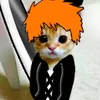 James Lada - @james.lada - TikTok