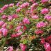 James Laderer - Facebook