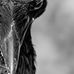 James LaFave - Facebook