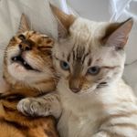 James Lafond - @james.lafond - Instagram