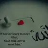 Jemal Lalicha - @jameslalicha24 - TikTok