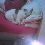 James Lamond - @lamondjames - Instagram