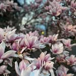 James Lampkin - @qeyasoplado - Instagram