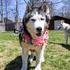 James Landon - @james.landon20 - TikTok
