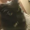James Landon - @james.landon62 - TikTok