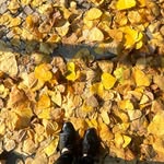 James Landon L - @solandlunas_ - Instagram