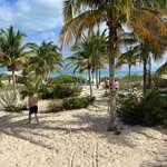 James Lape - @jameslape69 - Instagram
