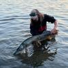James Lapinskas - @collectivespeciesangling - TikTok