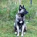 James LaPlante - Facebook