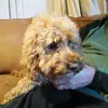 James Larke766 - @jameslarke - TikTok