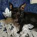 James Larocque - Facebook