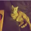 James Larose - @jameslarose63 - TikTok