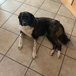 James Larson - @james.larson95634 - Instagram