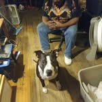 James Larson - @james.larson.7509836 - Instagram