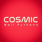 James Lashbrook - @cosmic_bp - Instagram