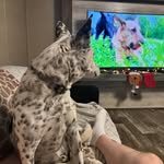 James Laskoskie - @laskoskiejames - Instagram