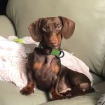 James Latour - @james.latour - Instagram