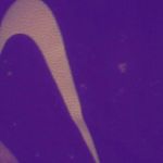James Lattea - @jameslattea2009 - Instagram
