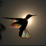 James Laubhan - @james_laubhan_ - Instagram