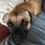 James Lauder - @lauder.james7293 - Instagram