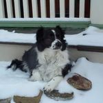 James Lauer - @jim_lauer61 - Instagram