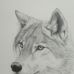James Laufenberg - Facebook