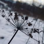 James Lausen - @jamesaldejdachjbha - Instagram