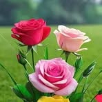 Lauren James - Facebook