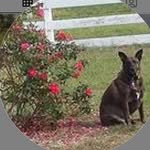 James Lavrich - @james.lavrich - Instagram