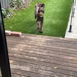 Archie James Laycock - @archiejameslaycock - Instagram