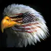 Mr. Eagle🦅 - @james.layden44 - TikTok