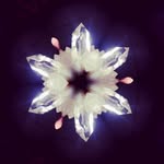 James Leader - @twospiritcrystals - Instagram