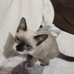 James Leal - @leal753 - Instagram